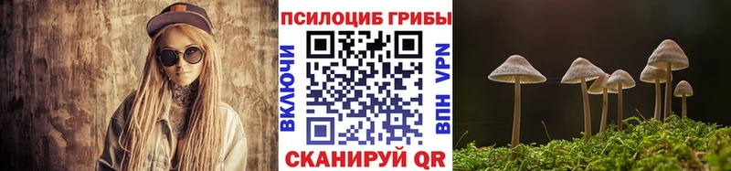 купить наркоту  Хадыженск  omg tor  Псилоцибиновые грибы мицелий 