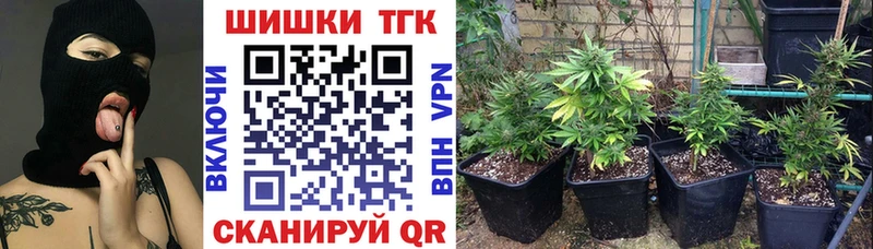 Шишки марихуана Ganja Хадыженск